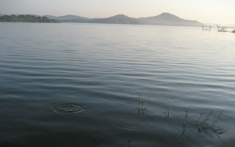 nalsarovar-lake-india