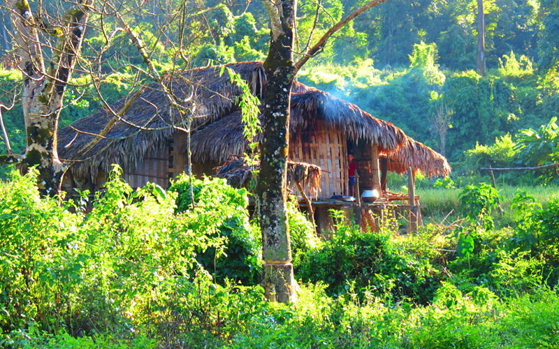 namdapha-national-park-india