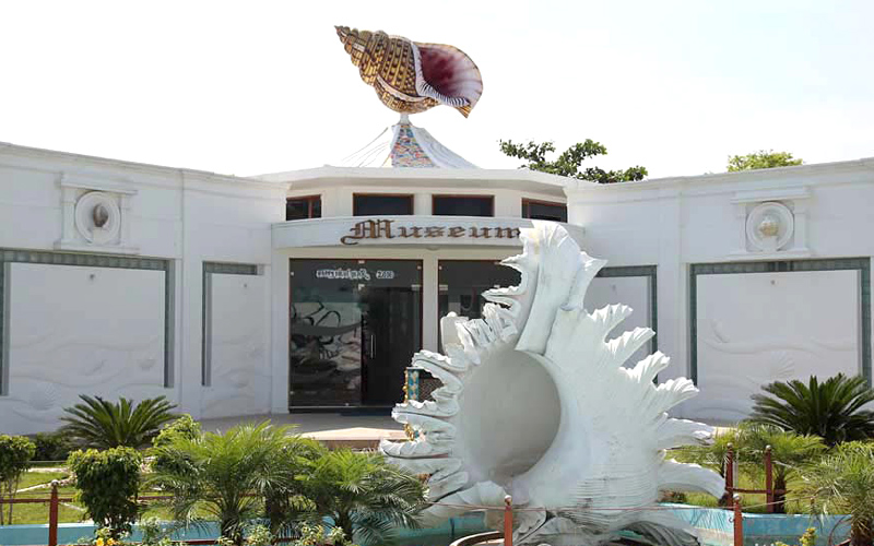 shell-museum-india