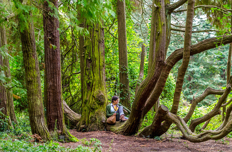 bidar-karnataka-india
