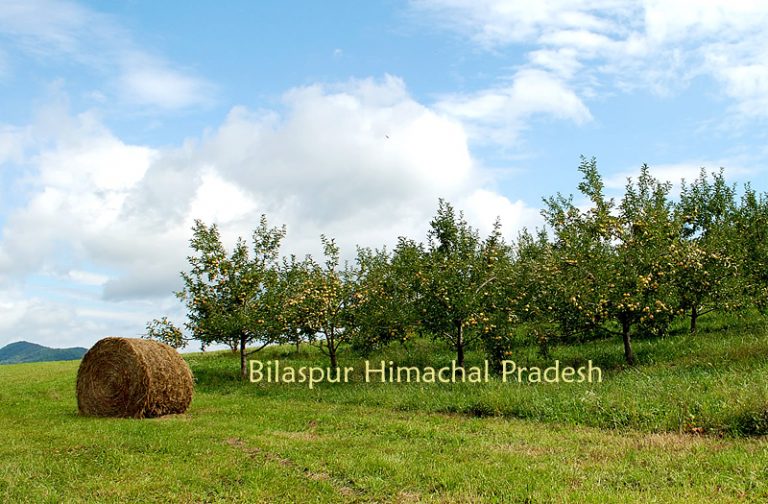 bilaspur-himachal -pradesh-india