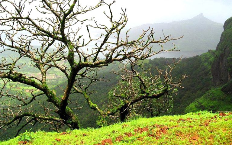 brahmapur-odisha-india