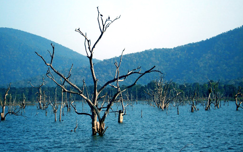 chaapi-lake-bilaspur-india