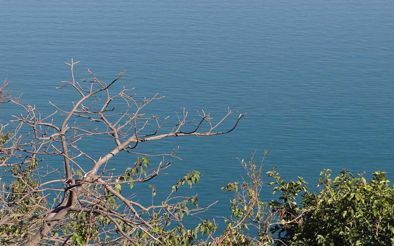 gobind-sagar-lake-india