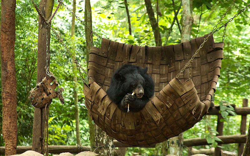 jalore-wildlife-sanctuary-india