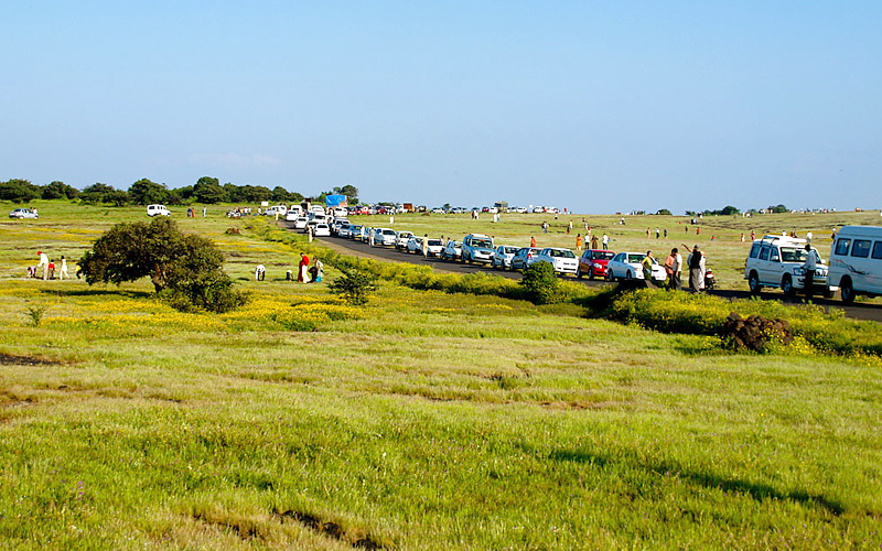 kaas-plateau-india