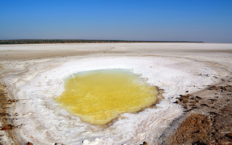 little-rann-of-kutch-sanctuary-india
