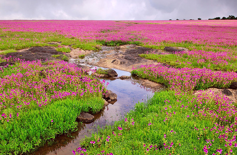 satara-maharashtra-india