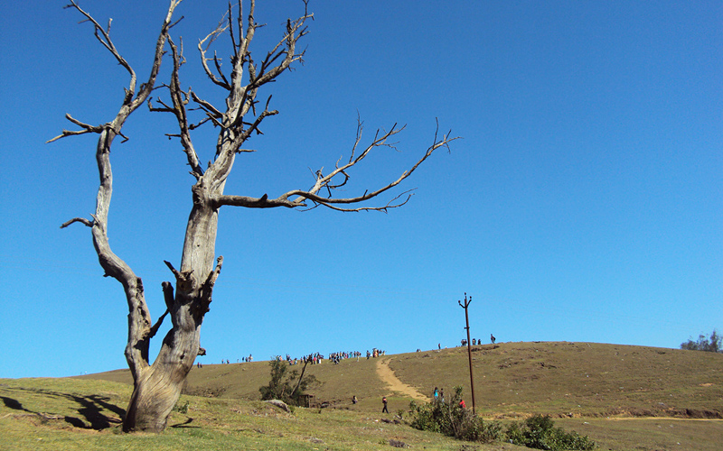 amrutanjan-point-india