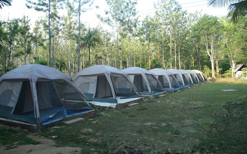 bandipur-camping-india