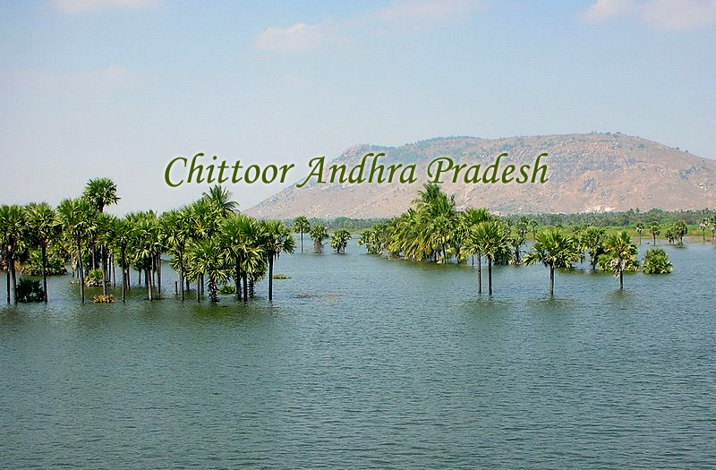 chittoor-andhra-pradesh-india