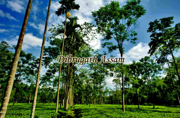 dibrugarh-assam-india