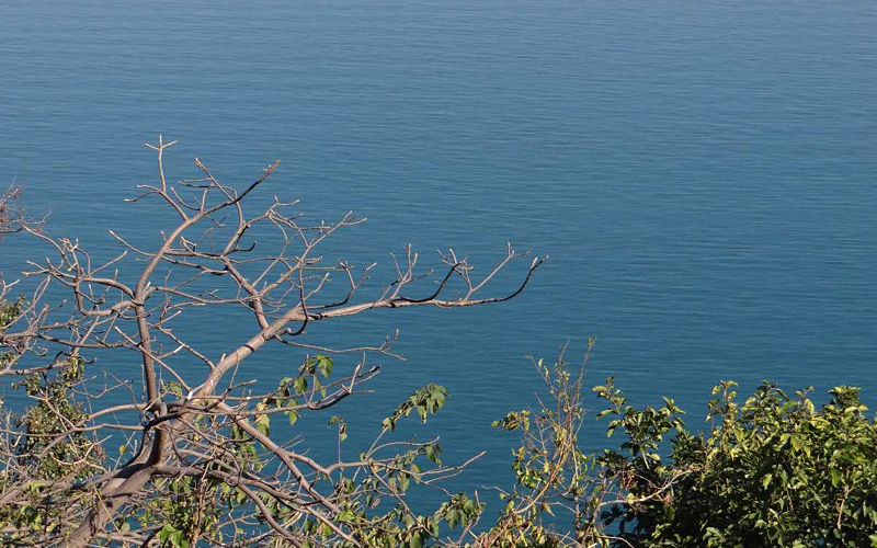 gobind-sagar-lake-india