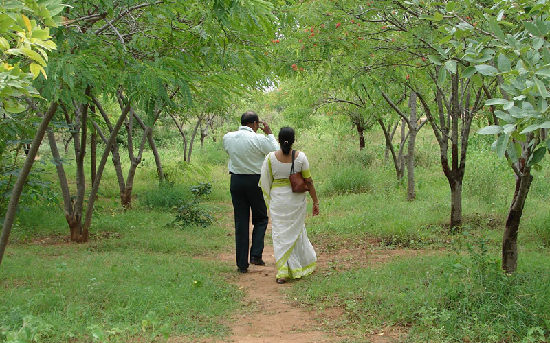 konaseema-andhalu-india