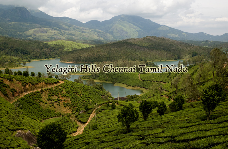 Yelagiri Hills Tamil Nadu Luxury Trails of India