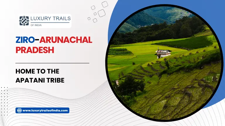 Ziro Arunachal Pradesh