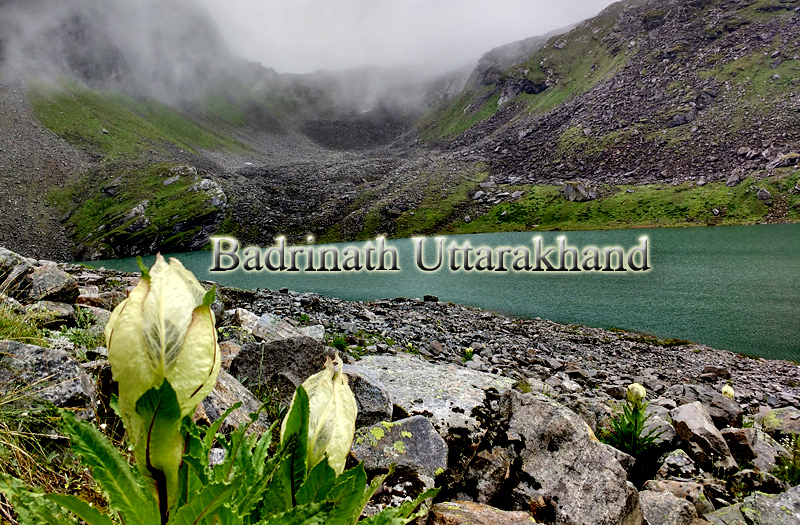 badrinath-uttarakhand-india