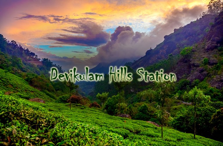 devikulam-hill-station-kerala-india