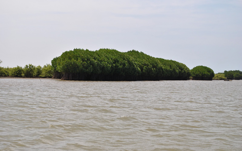 gangai-konda-cholapuram-lake-india