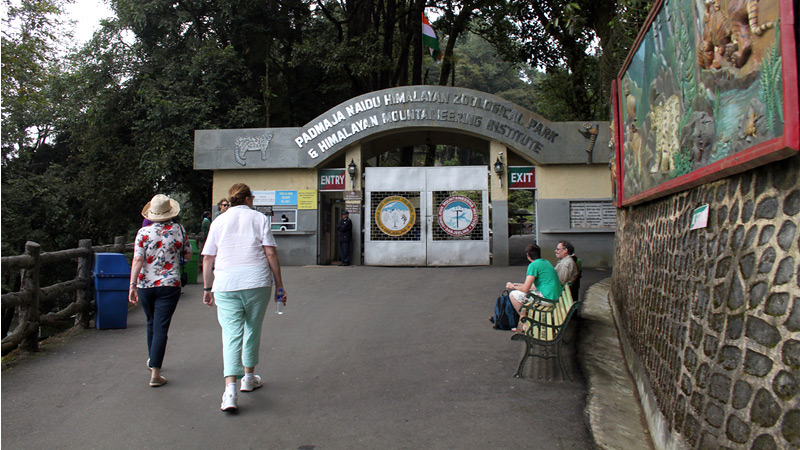himalayan-zoological-park-sikkim