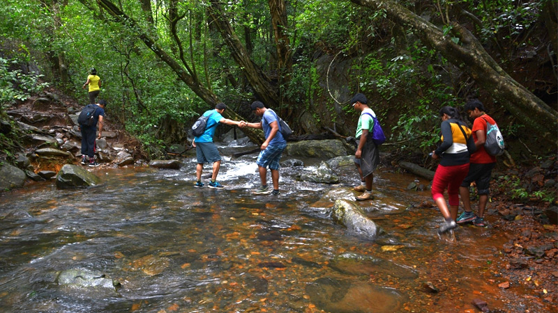 kudremukh_water_stream_crossing