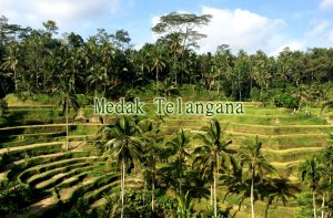 medak-telangana-india