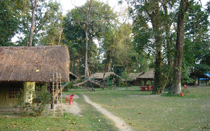 sessa-orchid-sanctuary-india