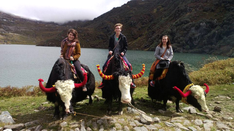 sikkim-yak-safari-nathu-la-pass