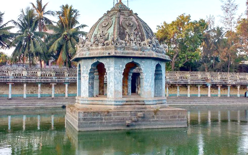 vaitheeswaran-temple-india