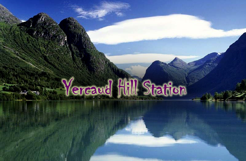 yercaud-hills-station-tamil-nadu-india