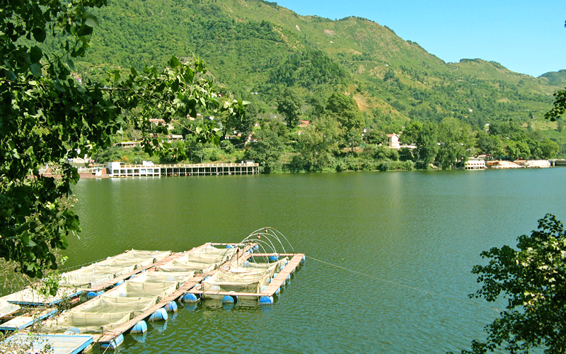 bhimtal-lake-india