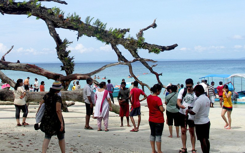 elephant-beach-india