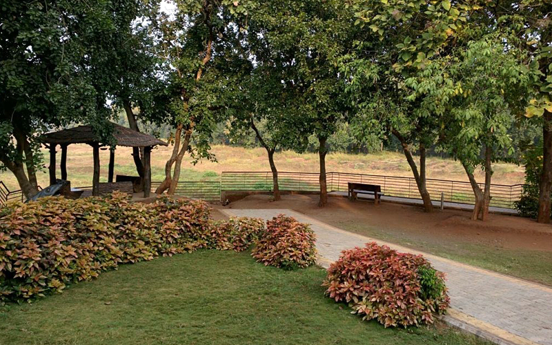 gardens-near-mandvi-beach-india