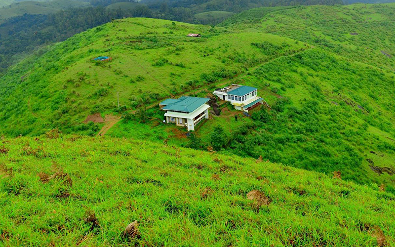 green-meadows-vagamon-india