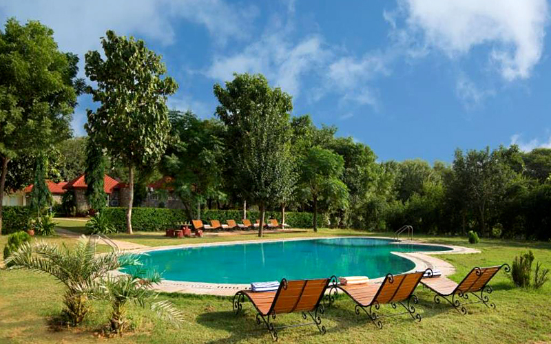 sariska-tiger-heaven-india