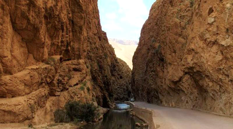 the-haldi-ghati-india