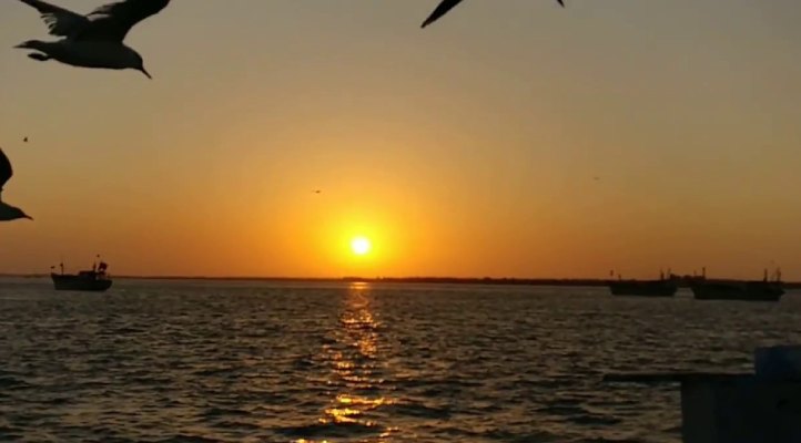 beyt-island