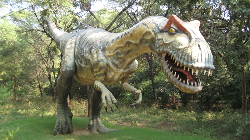 indroda-nature-park-india