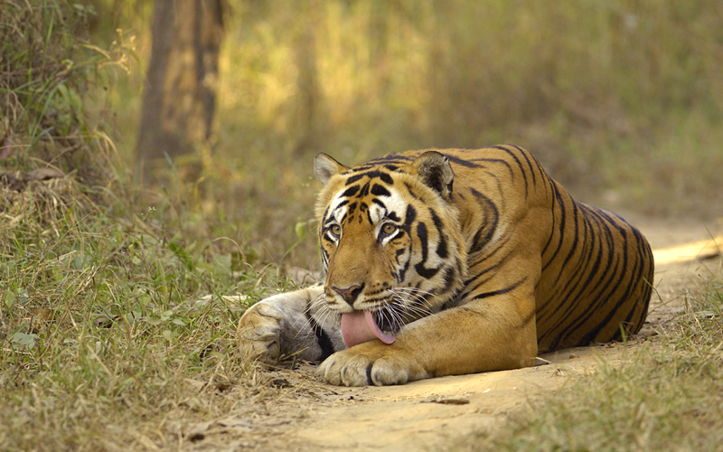 shergarh-wildlife-sanctuary -india