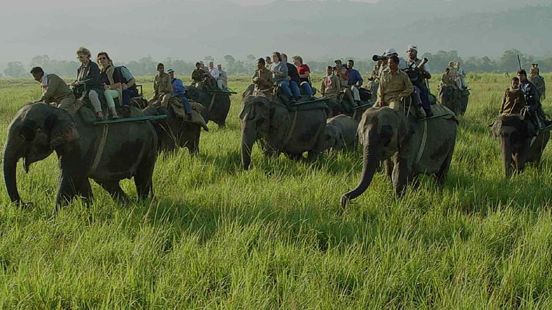 kaziranga-national-park