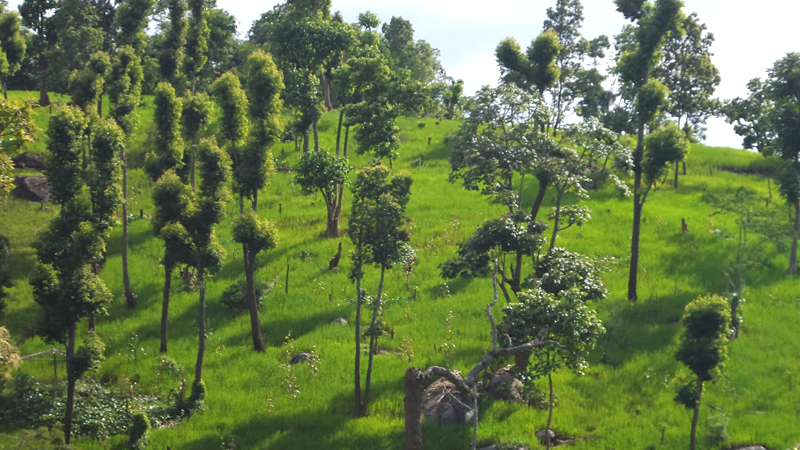 umwang-assam-india