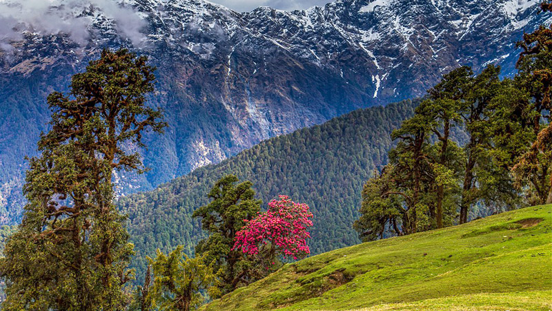 Deoriatal-Chandrashila-Peak-trek