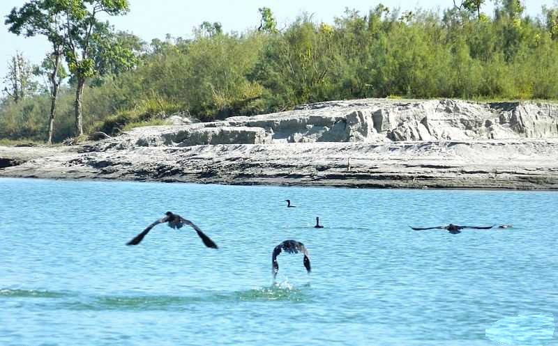 Dibru-Saikhowa-National-Park