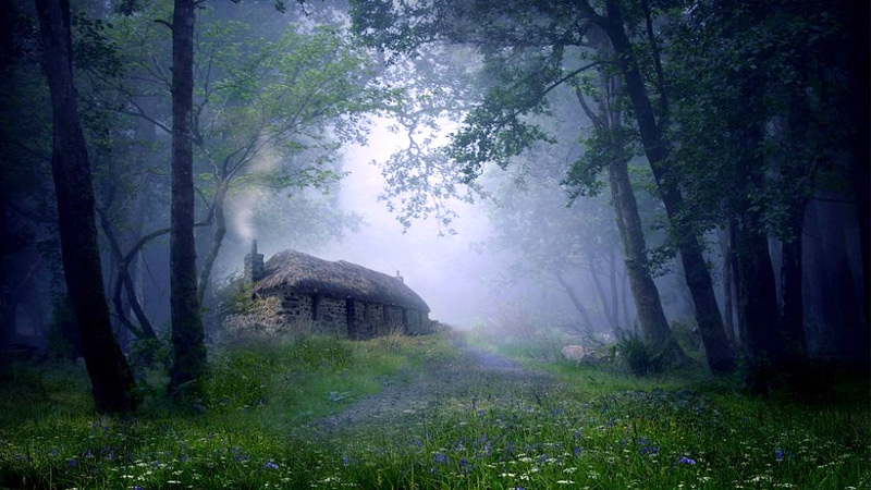 deodar-forest