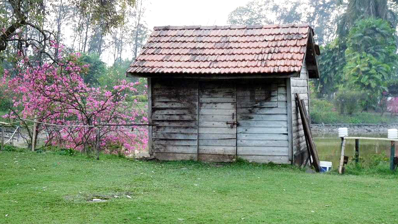 island-garden-silvassa-india