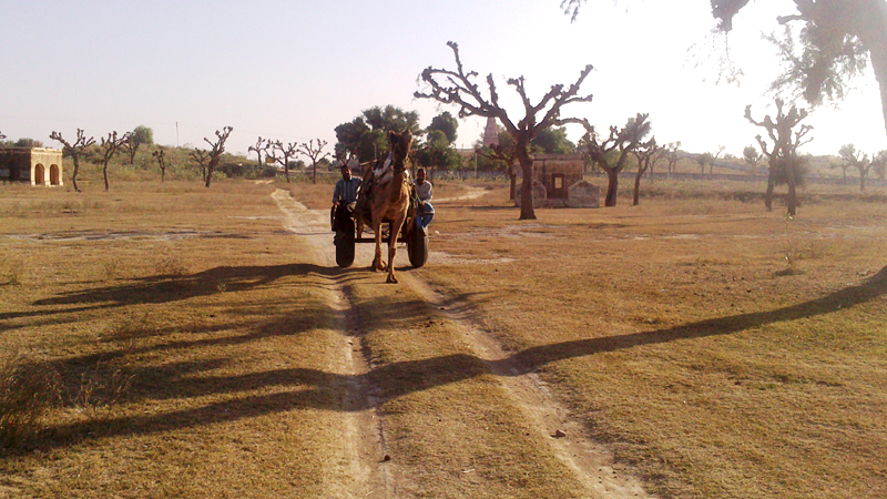kanhaiyalal-bagla-haveli-desert
