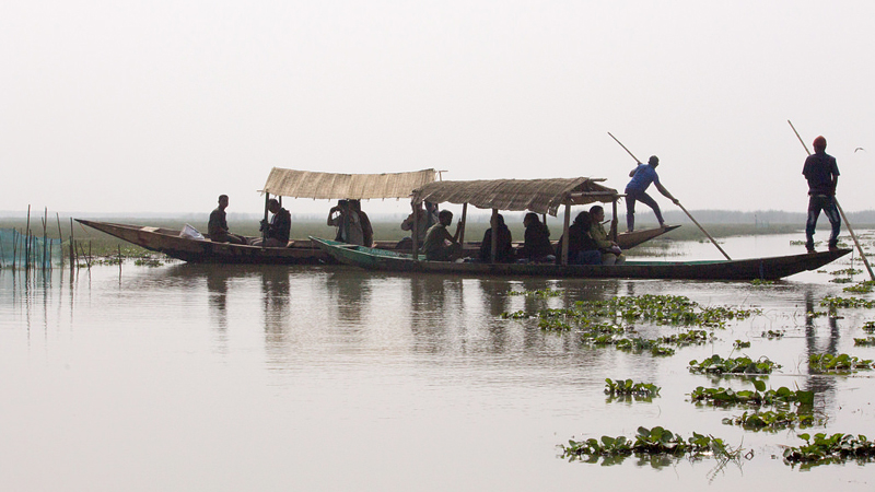 mangalajodi-chilika-india