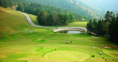 naldehra
