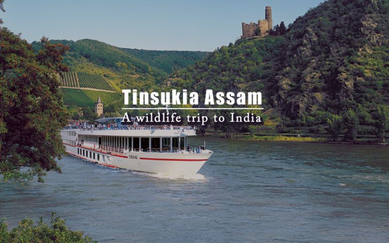 tinsukia-assam-india