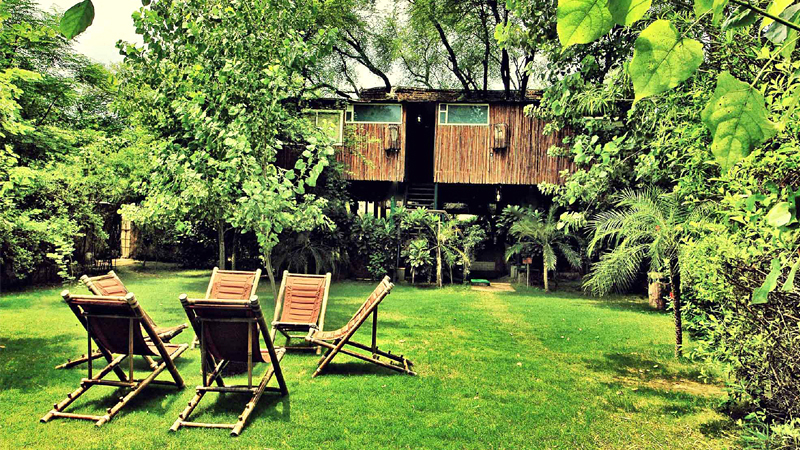 luxury-stay-at-the-tree-house-resort-jaipur